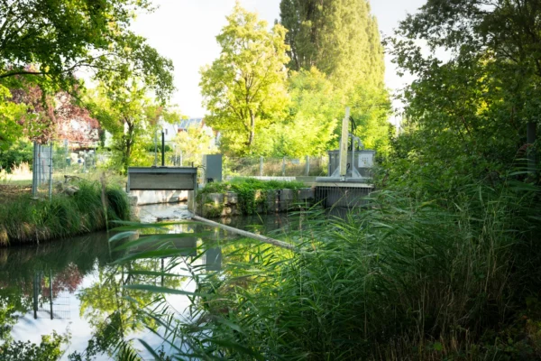 Wehranlage und Einlauf des Kraftwerks Lindner im Grünen